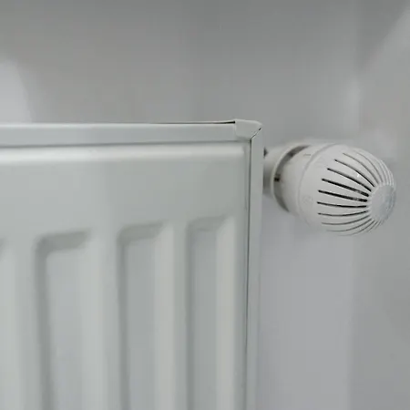 Daniela * Бухарест